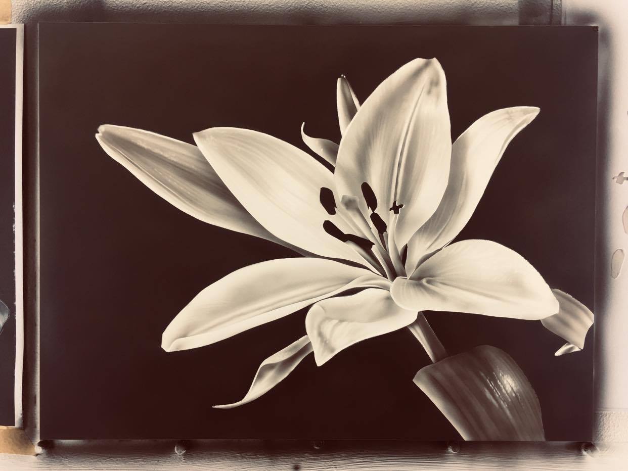Online Beginner Academy for Aspiring Airbrush Artists