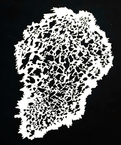 Texture Mylar Stencil TRX2