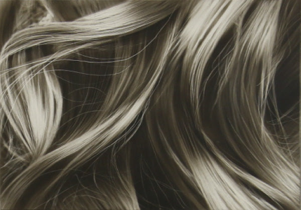 Online Beginner Academy for Aspiring Airbrush Artists