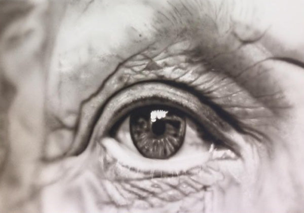 Online Beginner Academy for Aspiring Airbrush Artists